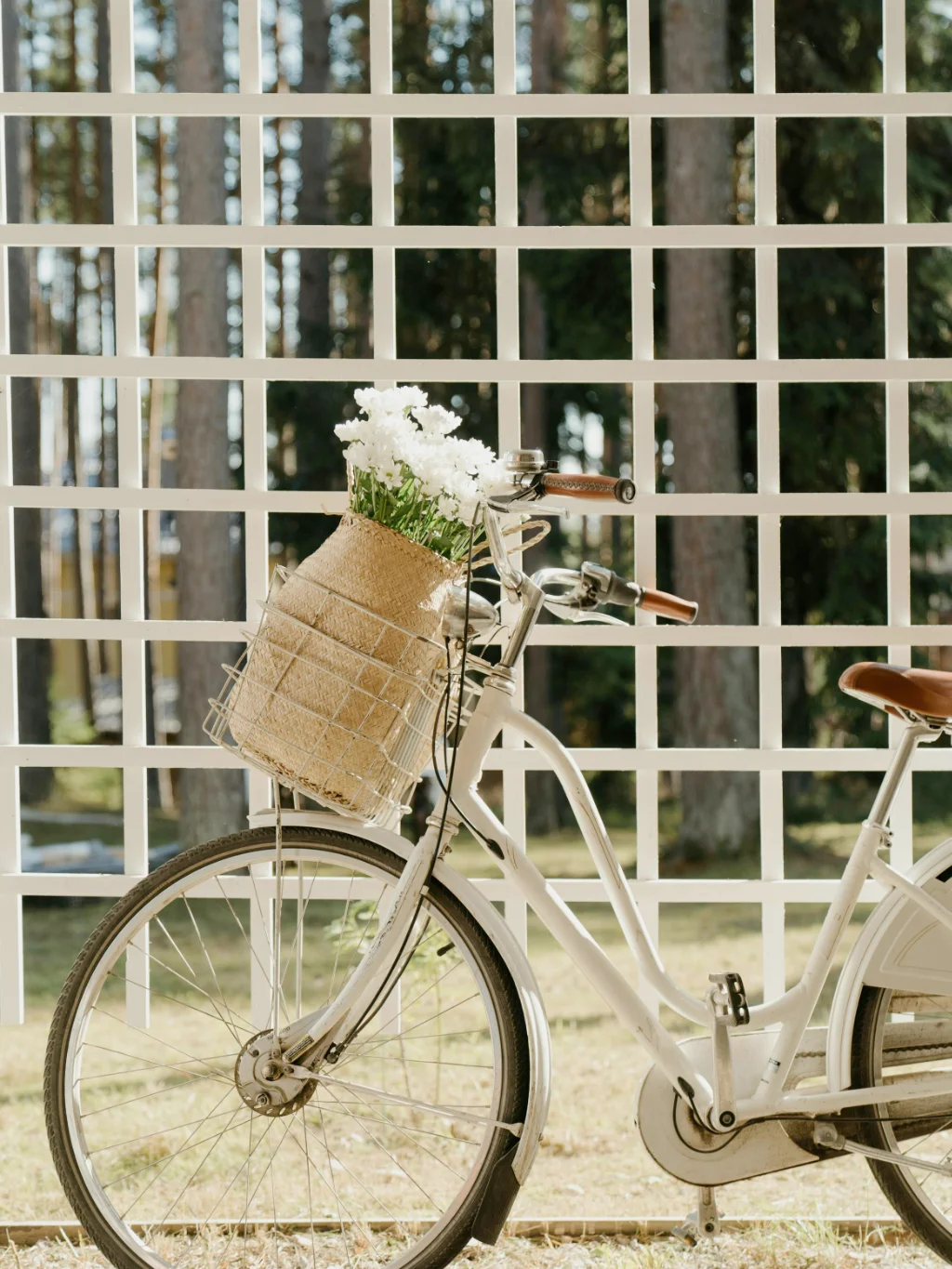 இடுப்பு எலும்பு வலுப்பெறச் செய்யும் சத்தான கருப்பு உளுந்து பொடி சாதம்