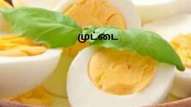 முட்டை
