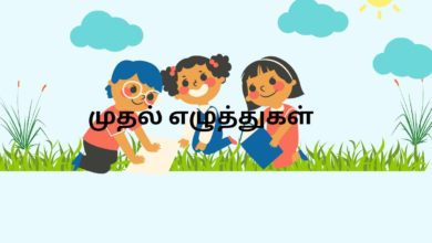 முதல் எழுத்துகள்