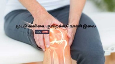 மூட்டு வலியை குறைக்க நொச்சி இலை