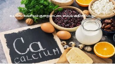 உடலில் கல்சியம் குறைபாட்டை எப்படி அதிகரிப்பது?