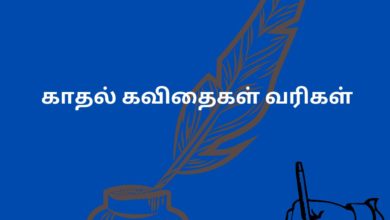 காதல் கவிதைகள் வரிகள்