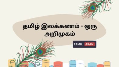 இலக்கணத்தின் வகைகள்