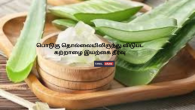 பொடுகு தொல்லையிலிருந்து விடுபட கற்றாழை இயற்கை தீர்வு