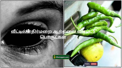 வீட்டில் எதிர்மறை ஆற்றலை விரட்ட 5 பொருட்கள்