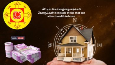 வீட்டில் செல்வத்தை ஈர்க்க 5 பொருட்கள்| 5 miracle things that can attract wealth to home