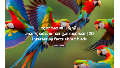 பறவைகள் பற்றிய சுவாரஸ்யமான தகவல்கள் | 20 Interesting facts about birds