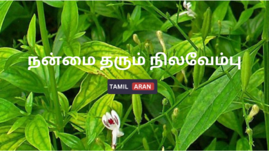 நன்மை தரும் நிலவேம்பு