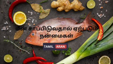 மீன் சாப்பிடுவதால் ஏற்படும் நன்மைகள் | Amazing 5 Benefits of eating fish