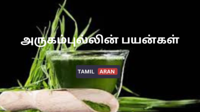 அருகம்புல்லின் பயன்கள்