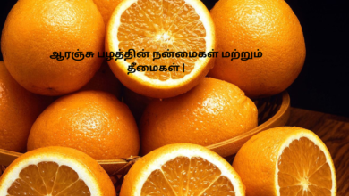 ஆரஞ்சு பழத்தின் நன்மைகள் மற்றும் தீமைகள் |