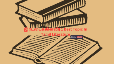 இரட்டைக்கிளவி| 1 Best Topic In Tamil Literature