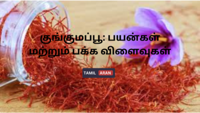 குங்குமப்பூ: பயன்கள் மற்றும் பக்க விளைவுகள்