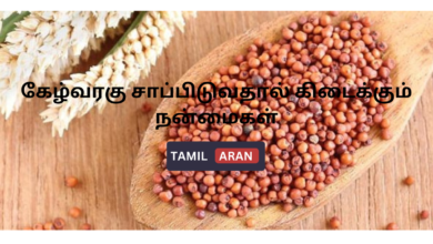 கேழ்வரகு சாப்பிடுவதால் கிடைக்கும் நன்மைகள்