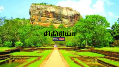 சிகிரியா