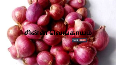 சின்ன வெங்காயம்