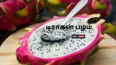 டிராகன் பழம்