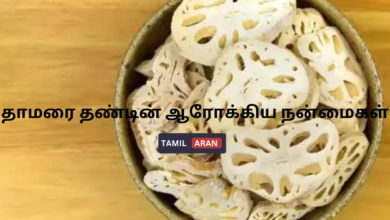 தாமரை-தண்டின்-ஆரோக்கிய-நன்மைகள்.