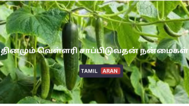தினமும் வெள்ளரி சாப்பிடுவதன் நன்மைகள்