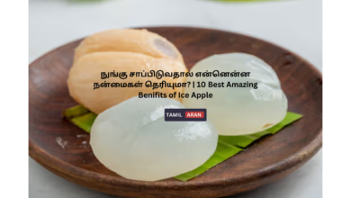 நுங்கு  சாப்பிடுவதால் என்னென்ன நன்மைகள் தெரியுமா? | 10 Best Amazing Benifits of Ice Apple