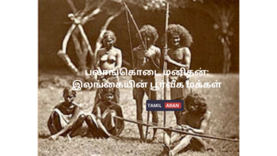 பலாங்கொடை மனிதன்: இலங்கையின் பூர்வீக மக்கள்