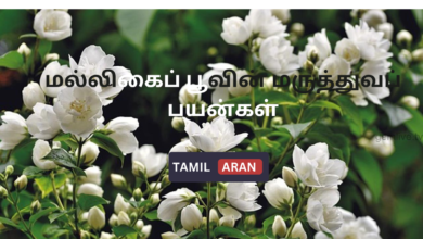 மல்லிகைப் பூவின் மருத்துவப் பயன்கள்| Best 5 Medicinal benefits of jasmine flower