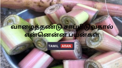வாழைத்தண்டு சாப்பிடுவதால் என்னென்ன பயன்கள்