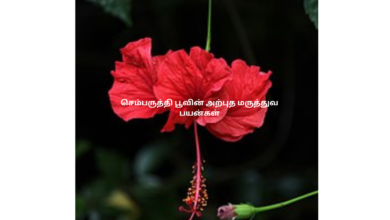 செம்பருத்தி பூவின் அற்புத மருத்துவ பயன்கள்