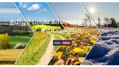 தமிழர் பருவ காலங்களும் அதன் சிறப்புகளும்