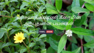 கரிசலாங்கண்ணி கீரையின் அற்புதமான பயன்கள்