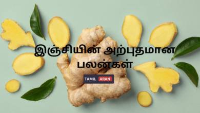 இஞ்சியின் அற்புதமான பலன்கள்