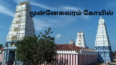 முன்னேசுவரம் கோயில்