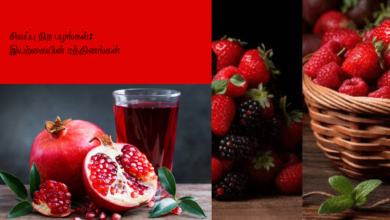 சிவப்பு நிற பழங்கள்: இயற்கையின் ரத்தினங்கள்