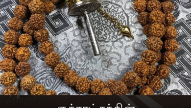 ருத்ராட்சத்தின் சக்தியை அதிகரிக்க செய்யும் ரகசியங்கள்!