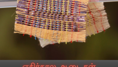 ஸ்மார்ட் துணி