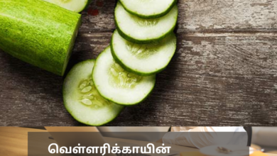 வெள்ளரிக்காயின் மறைக்கப்பட்ட ஆபத்து: இந்த நேரத்தில் தவிர்க்கவும்