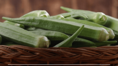 வெண்டிக்காய் - ஆரோக்கியத்திற்கு நல்லது, ஆனால் யாருக்கெல்லாம் இல்லை?