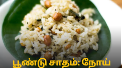 பூண்டு சாதம்