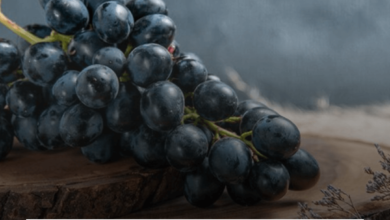 கருப்பு திராட்சை: இயற்கையின் அற்புத பரிசு!