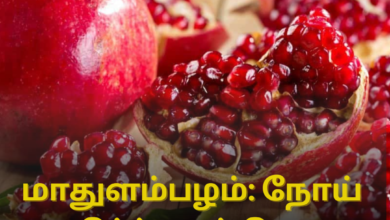 நோய் எதிர்ப்பு