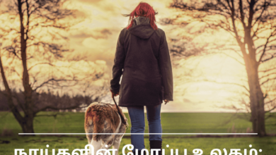 நாய்களின் மோப்ப உலகம்: நம்மைப் பற்றி அவை என்ன தெரிந்து கொள்கின்றன?