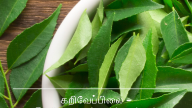 கறிவேப்பிலை - இயற்கையின் வரம்: உங்கள் ஒட்டுமொத்த ஆரோக்கியத்திற்கு!
