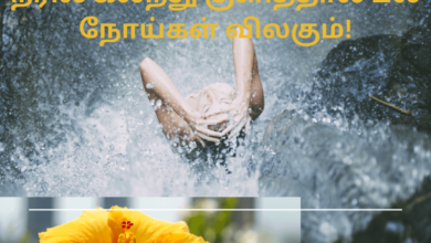 இந்த பொருளை குளிக்கும் நீரில் கலந்து குளித்தால் பல நோய்கள் விலகும்!