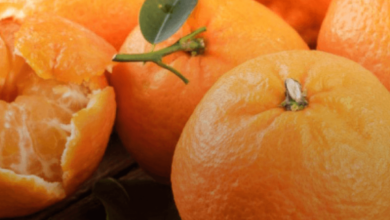 உங்கள் எடை இழப்பு பயணத்திற்கு ஒரு இயற்கை துணை:ஆரஞ்சு பழம்!