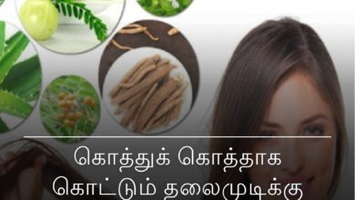 தலைமுடிக்கு வீட்டு வைத்தியம்