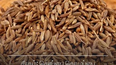 சீரகம்