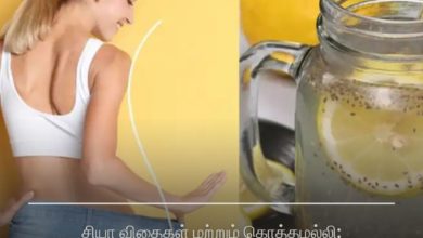 சியா விதைகள்
