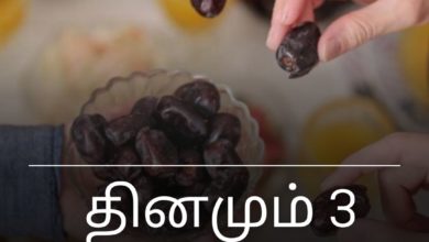 பேரீச்சம் பழம்