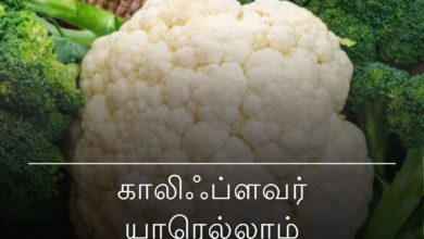 காலிஃப்ளவர்