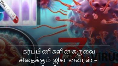 கர்ப்பிணிகளின் கரு